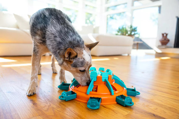 Welke Nina Ottosson puzzel past bij jouw hond?