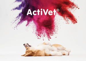 ActiVet, welke kleur is geschikt voor de vacht van jouw hond?