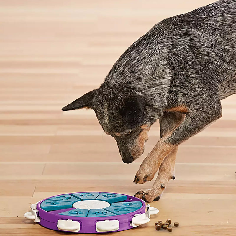 Level 3: Voor ervaren honden