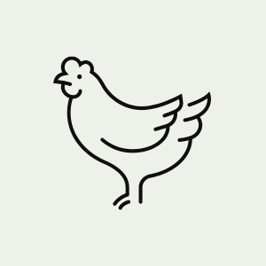 Gevogelte