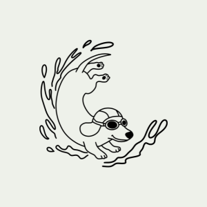 Verkoeling voor de hond