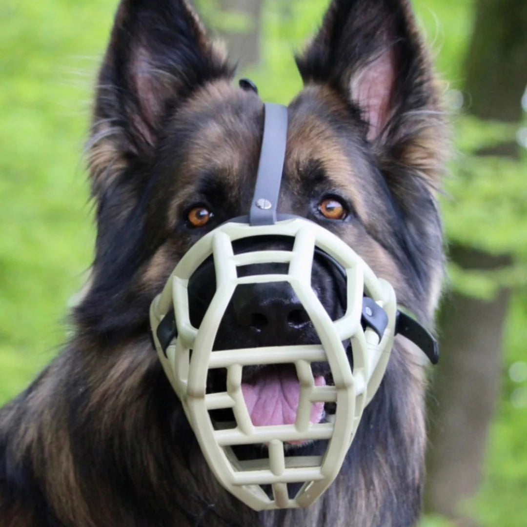 The Muzzle Movement Size Sunny