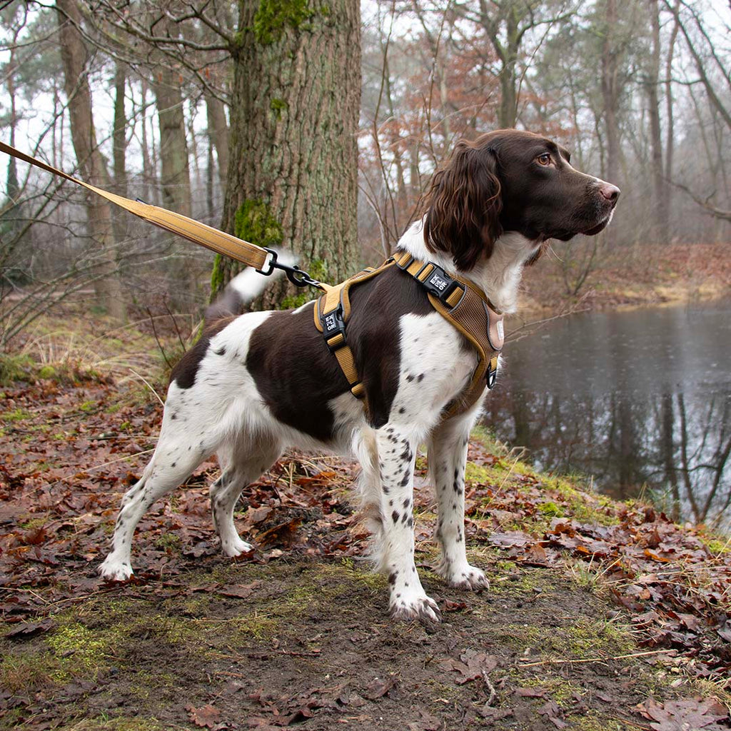 Explor Ultimate Fit No-Pull harness Classic Sand