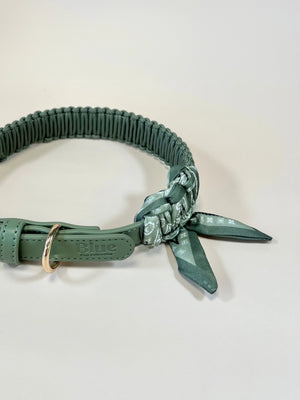 Blue Pup Collection Green bandana halsband