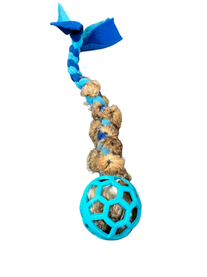 MotivPaw Bunny Bounce