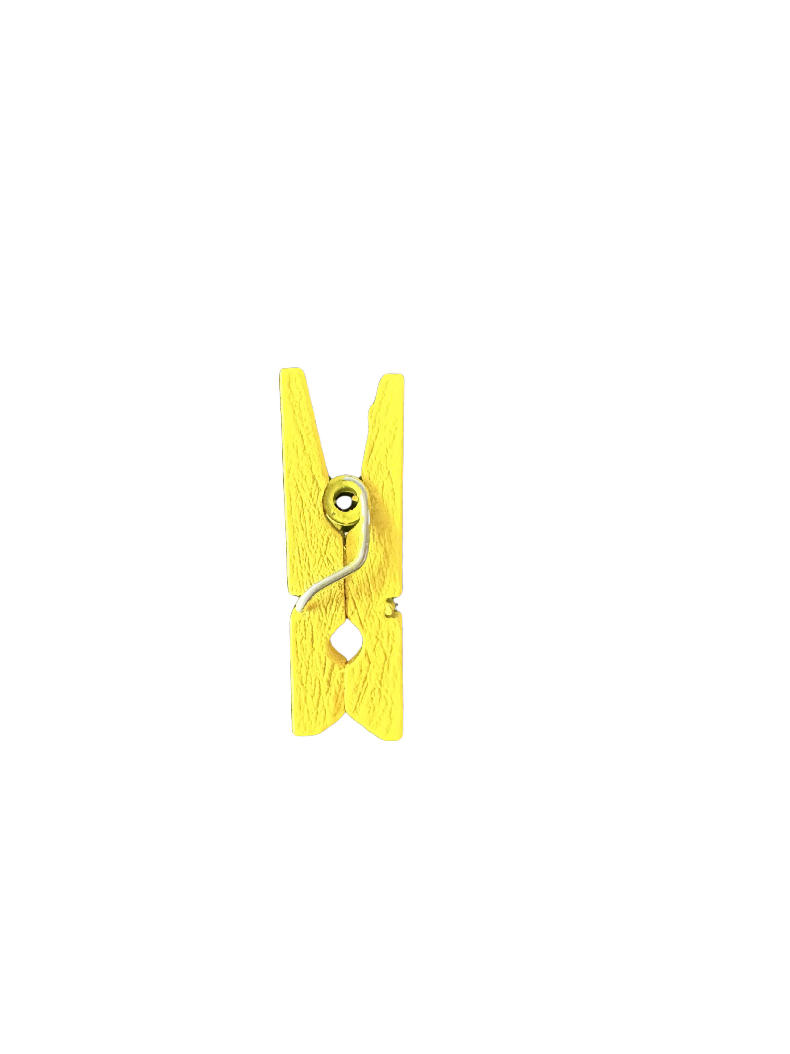 Kleine gekleurde knijpers