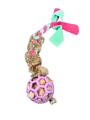 MotivPaw Bunny Bounce