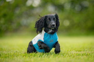 Non-stop Dogwear Cooling pull-on