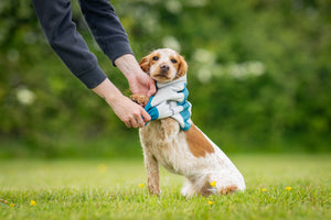 Non-stop Dogwear Cooling pull-on
