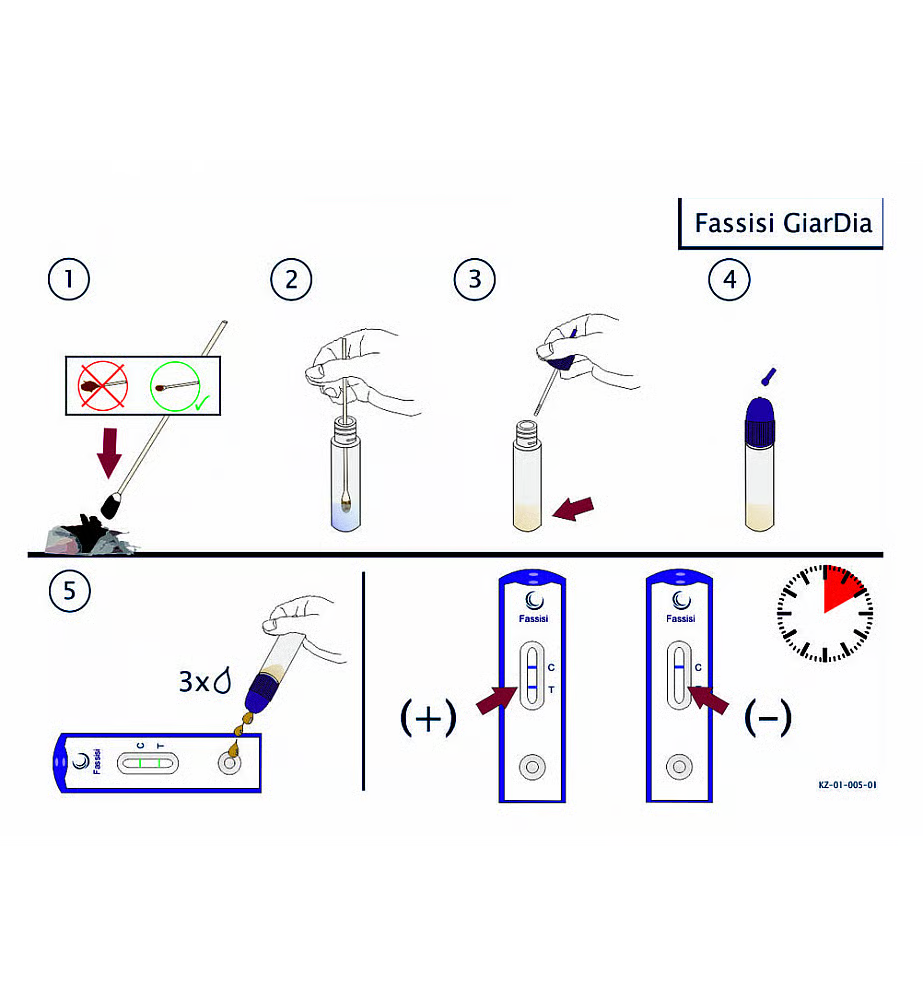 Fassisi Sneltest Giardia