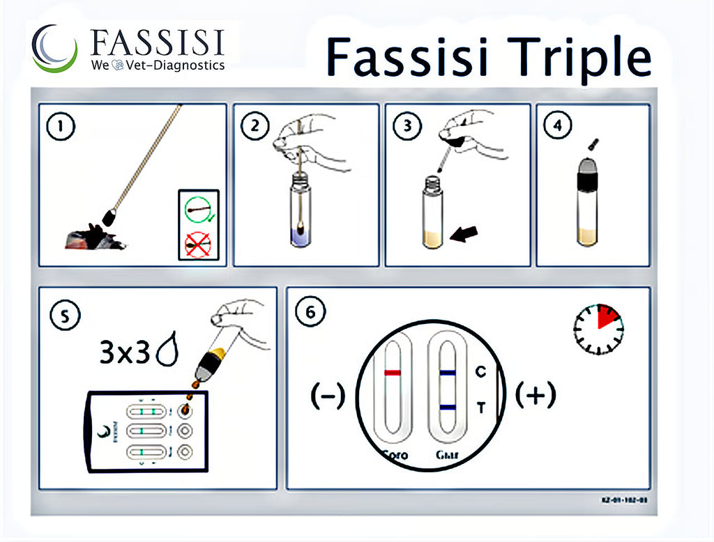 Fassisi Sneltest Diarree Triple Parvo/Corona/Giardia