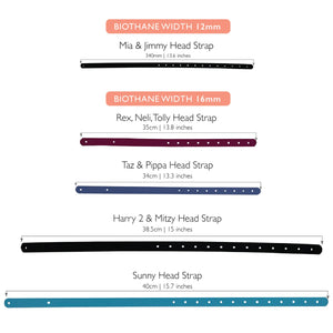 Hoofdband