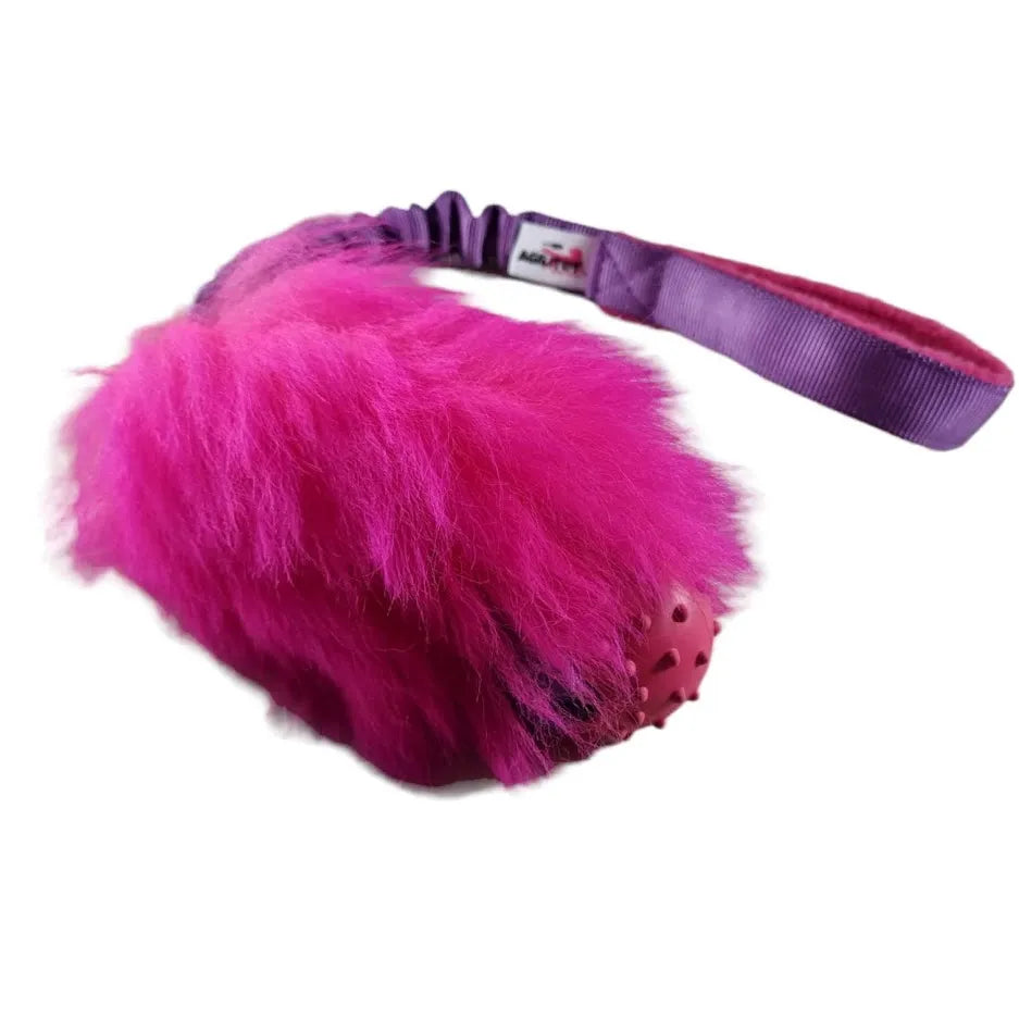 Agilitoy SheepX