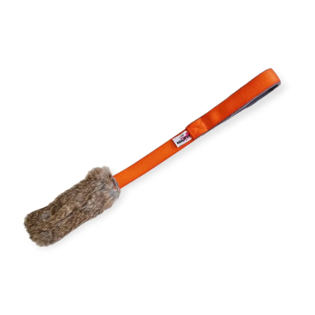 Agilitoy Rabbite