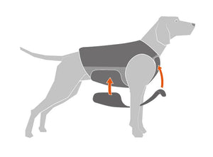 Non-stop Dogwear Protector neoprene vest