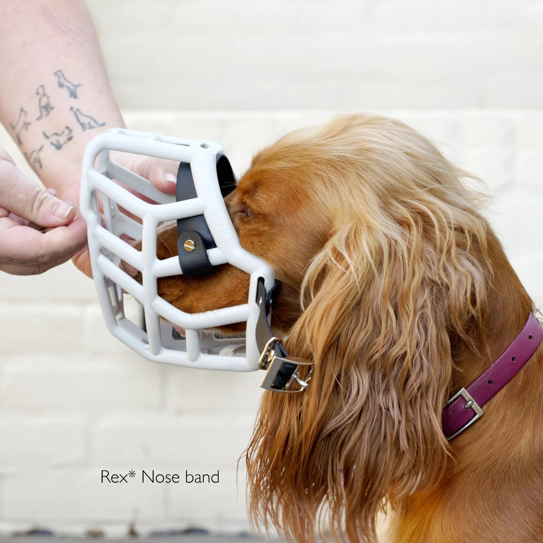 Longer Noseband - Black