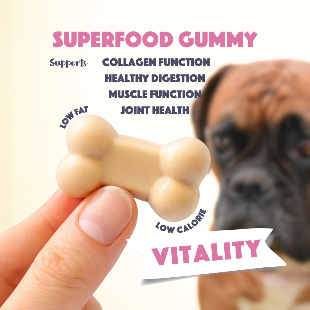 Smoofl Vitaliteit Dog Gummies