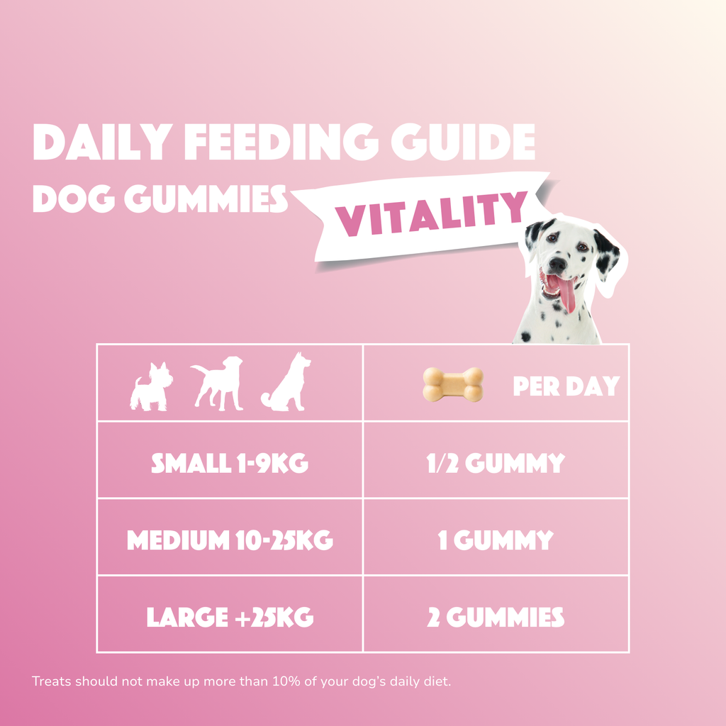 Smoofl Vitaliteit Dog Gummies
