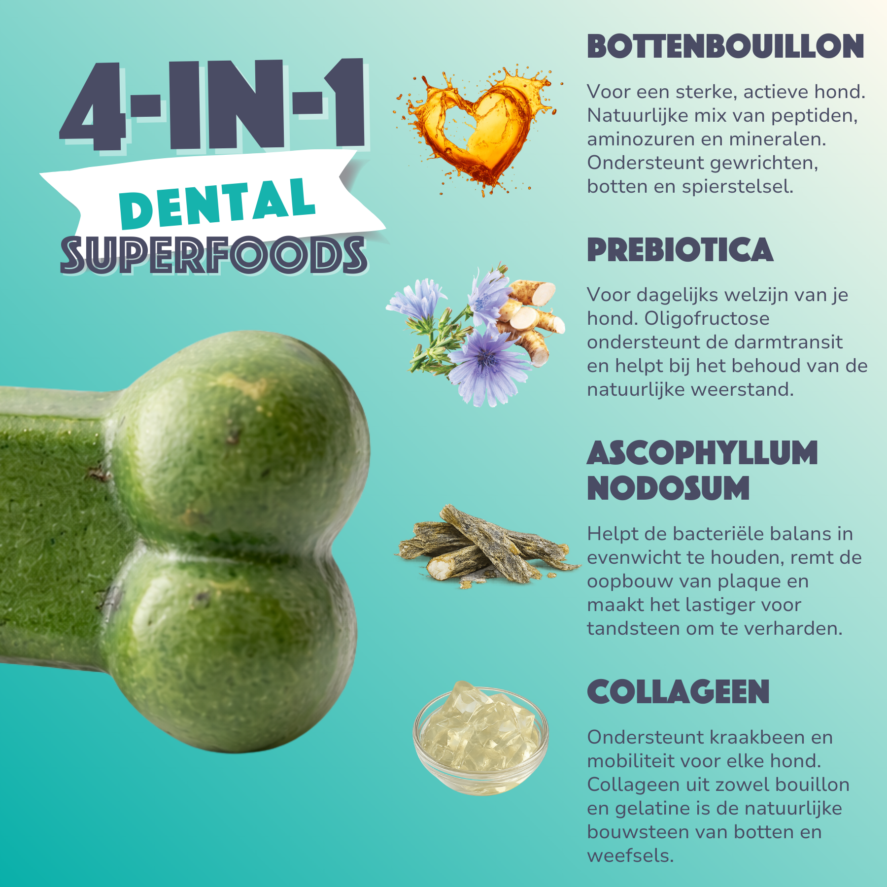 Smoofl Dental Dog Gummies