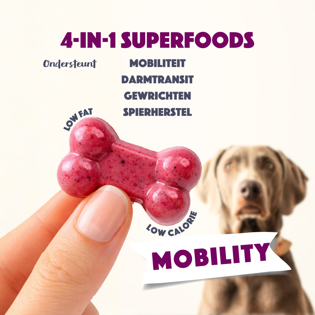 Smoofl Mobiliteit Dog Gummies
