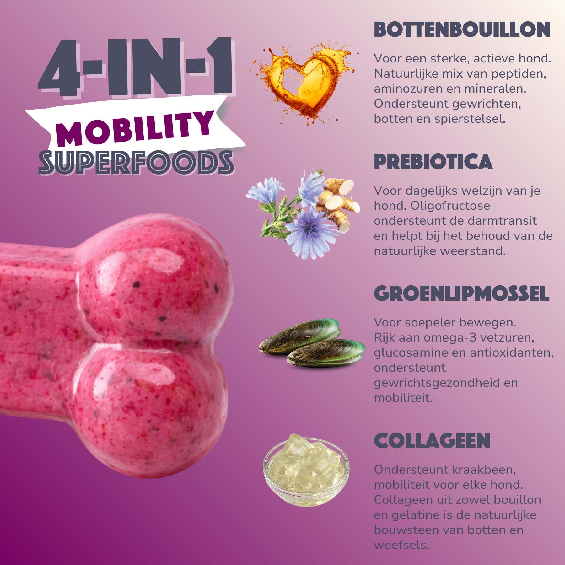 Smoofl Mobiliteit Dog Gummies