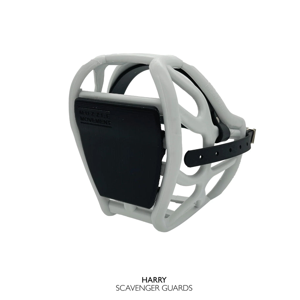Scavenger Guard - Black