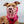 The Muzzle Movement Pippa