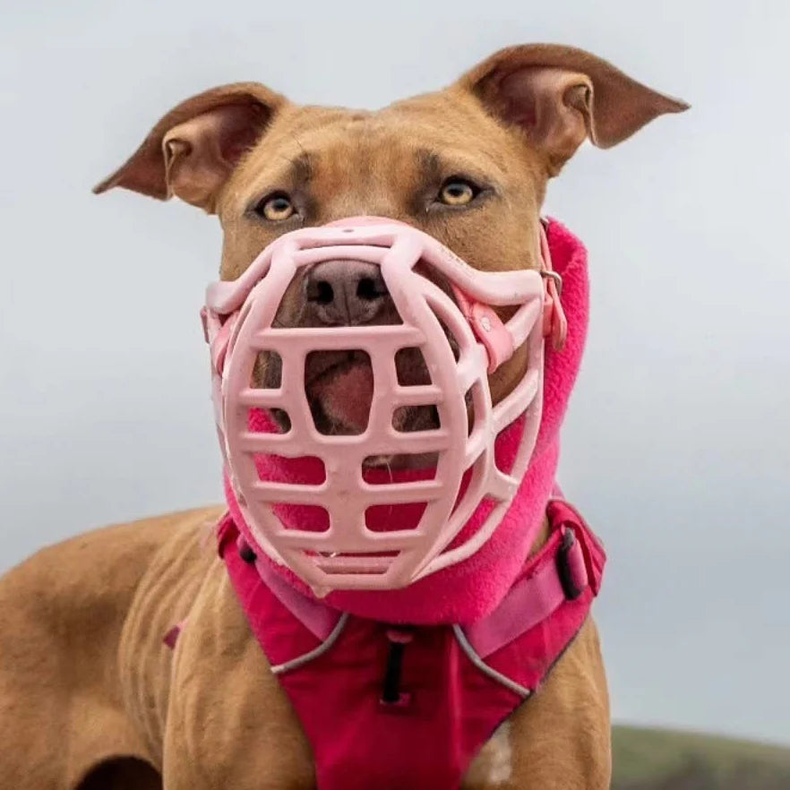 The Muzzle Movement Size Pippa