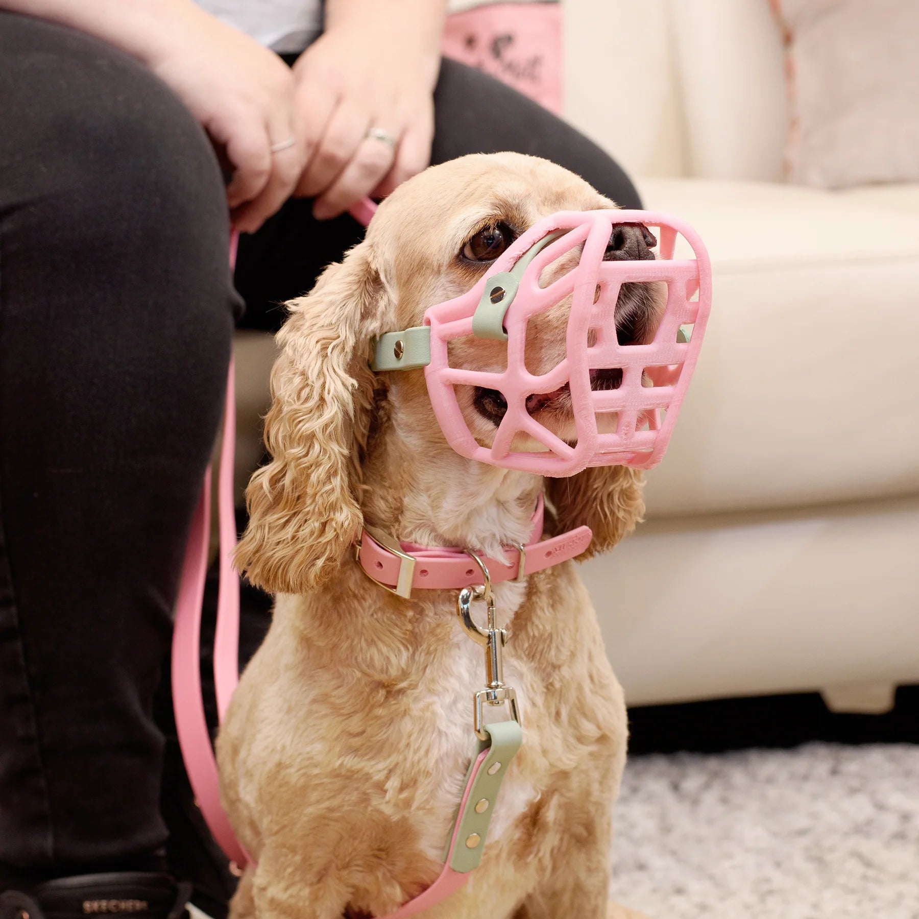 PRE-ORDER The Muzzle Movement Size Mia