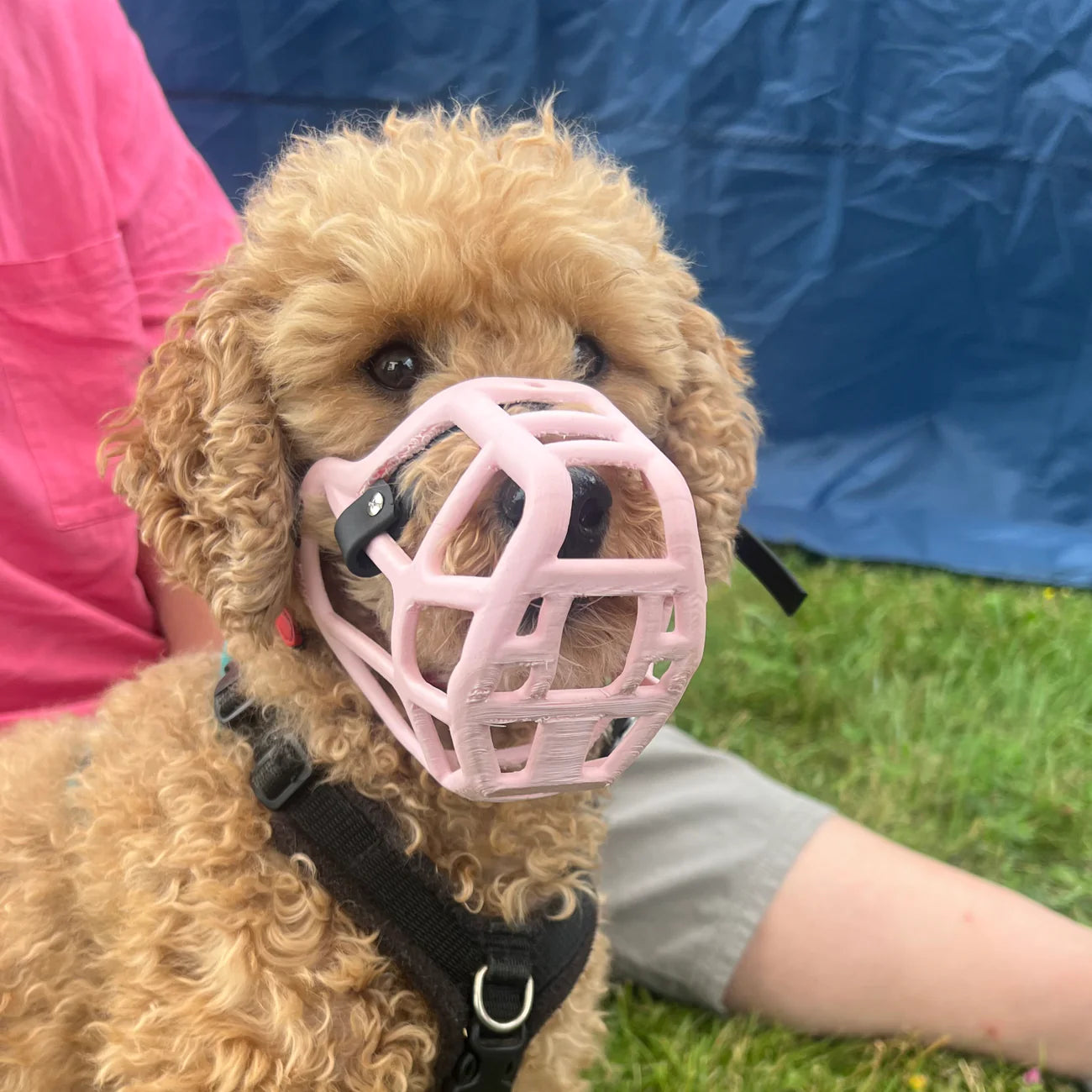 PRE-ORDER The Muzzle Movement Size Jimmy