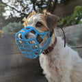 PRE-ORDER The Muzzle Movement Size Jimmy