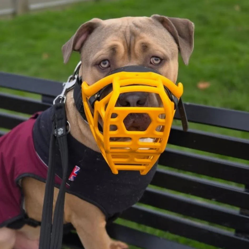The Muzzle Movement Size Mitzy