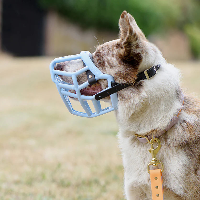 The Muzzle Movement Size Neli