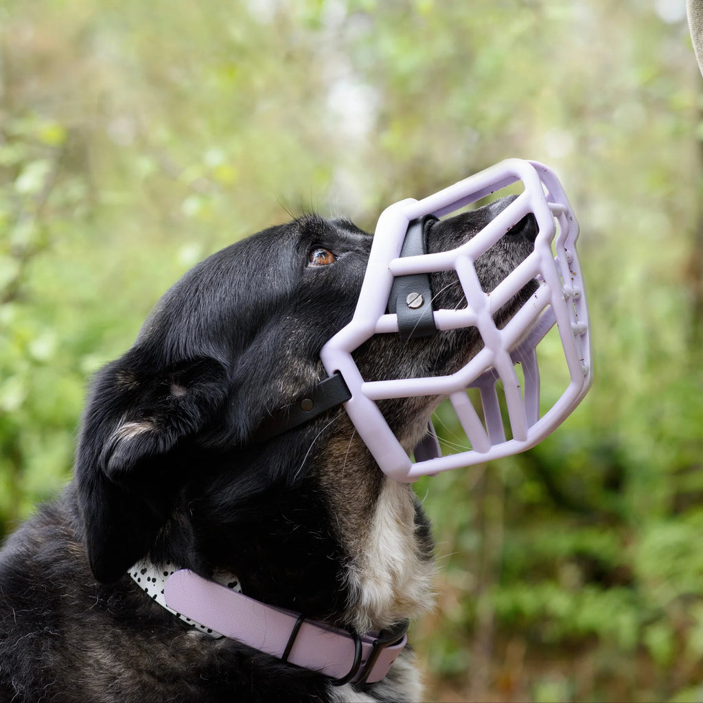 Foam Padded Nose Band - Black