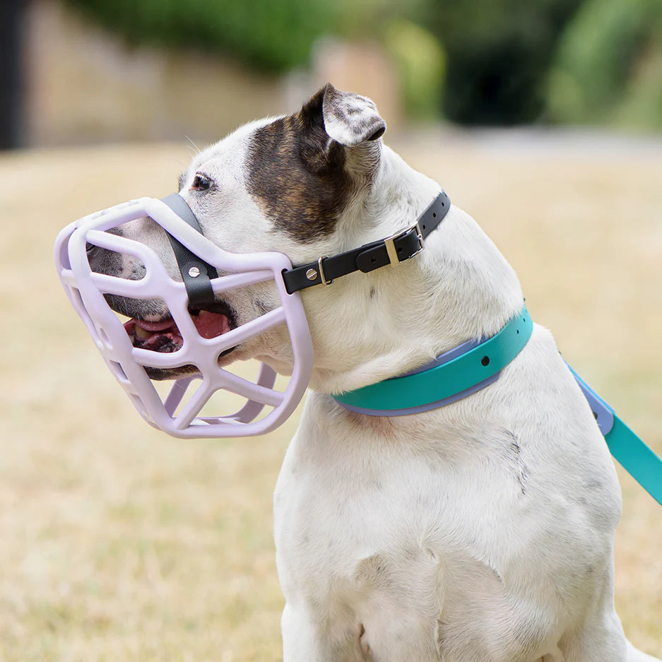 TheThe Muzzle Movement Size Harry 2.0