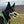 The Muzzle Movement Tolly