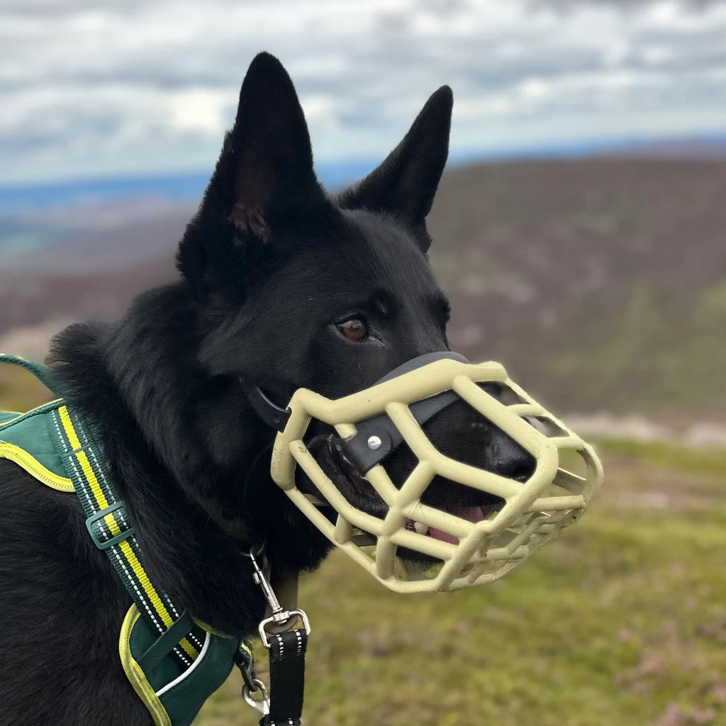 The Muzzle Movement Size Tolly