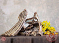 Spareribs van hert gedroogd 500g