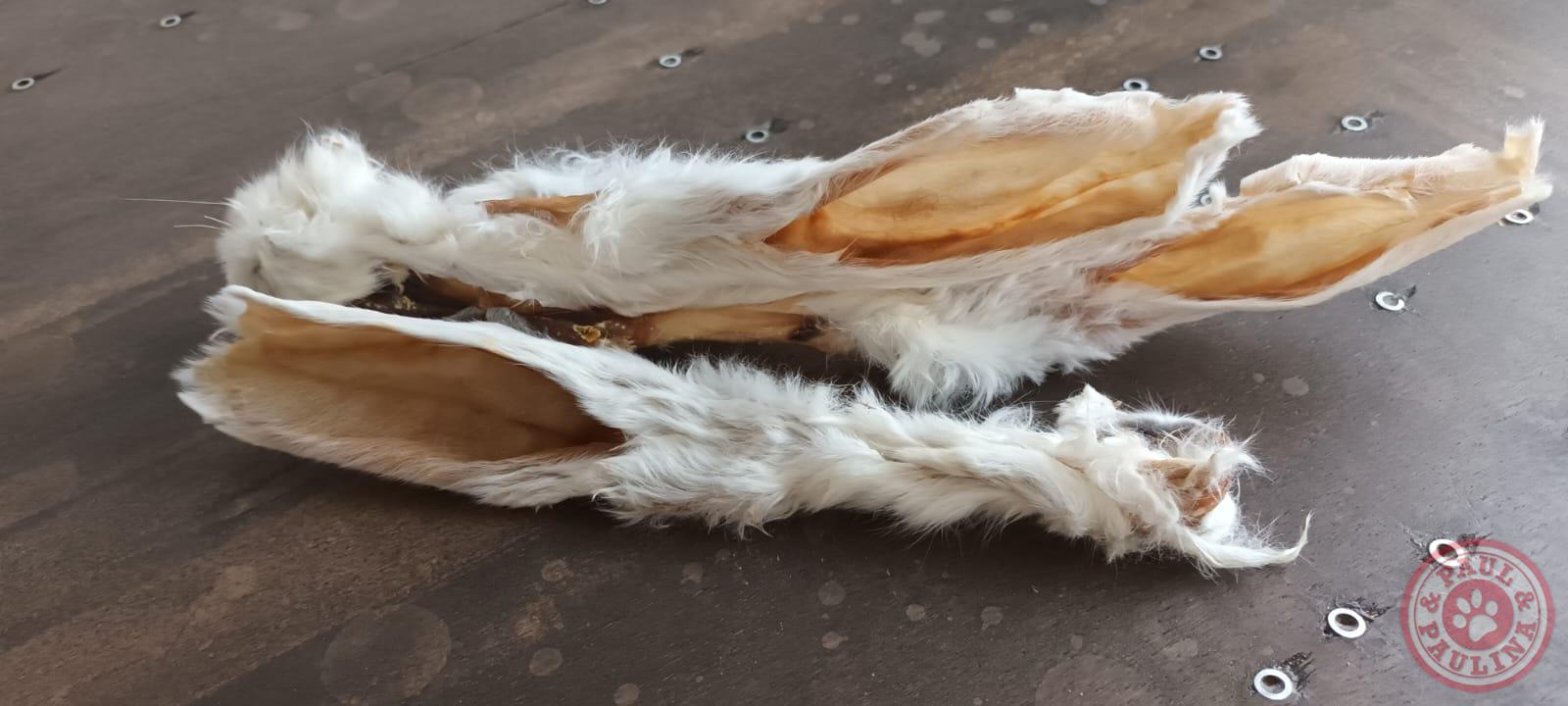 Konijnenoren met vacht