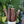 Gedraagde rundvleessticks 25cm 500g