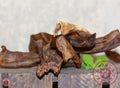 Paardenhoofdhuid gedroogd