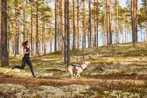 Non-stop Dogwear CaniX belt