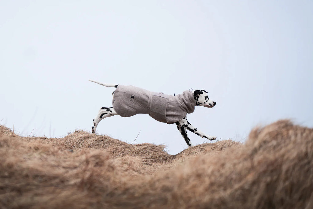 Non-stop Dogwear Drying coat