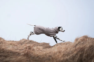 Non-stop Dogwear Drying coat