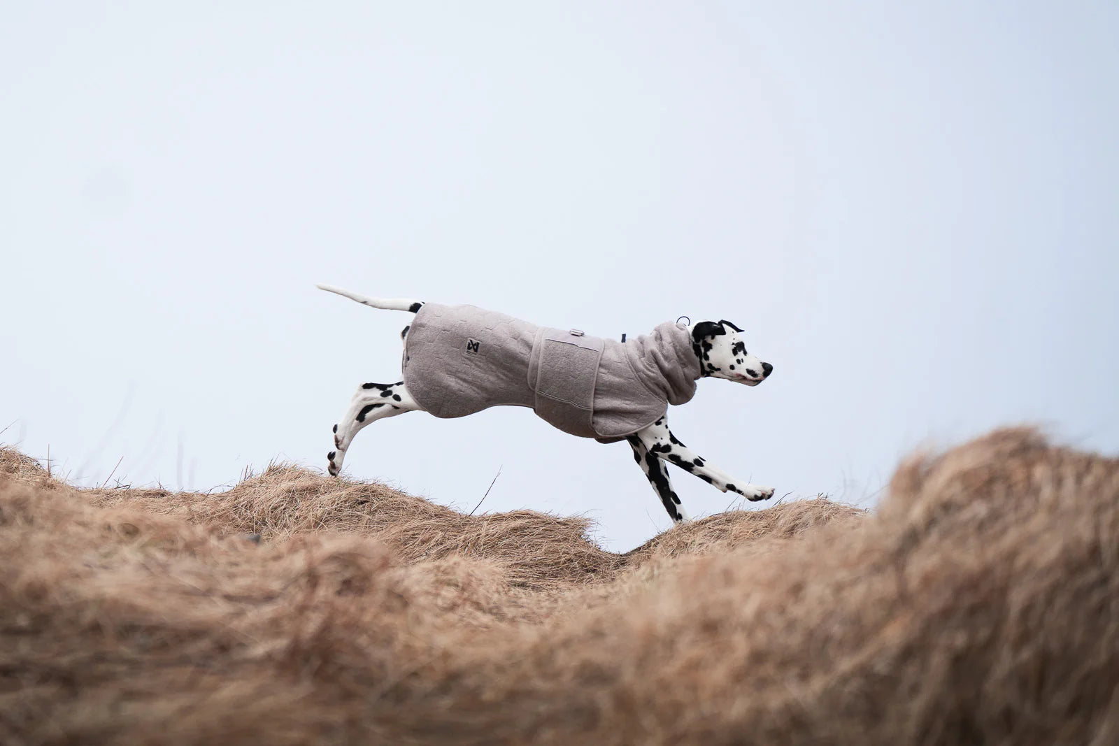 Non-stop Dogwear Drying coat