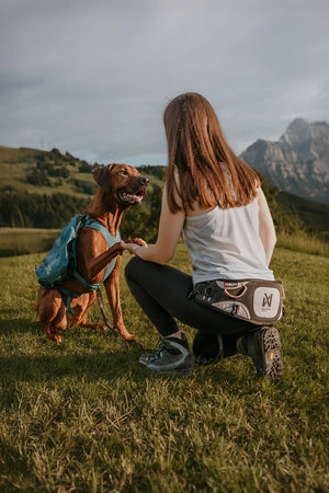 Non-stop Dogwear Explore belt