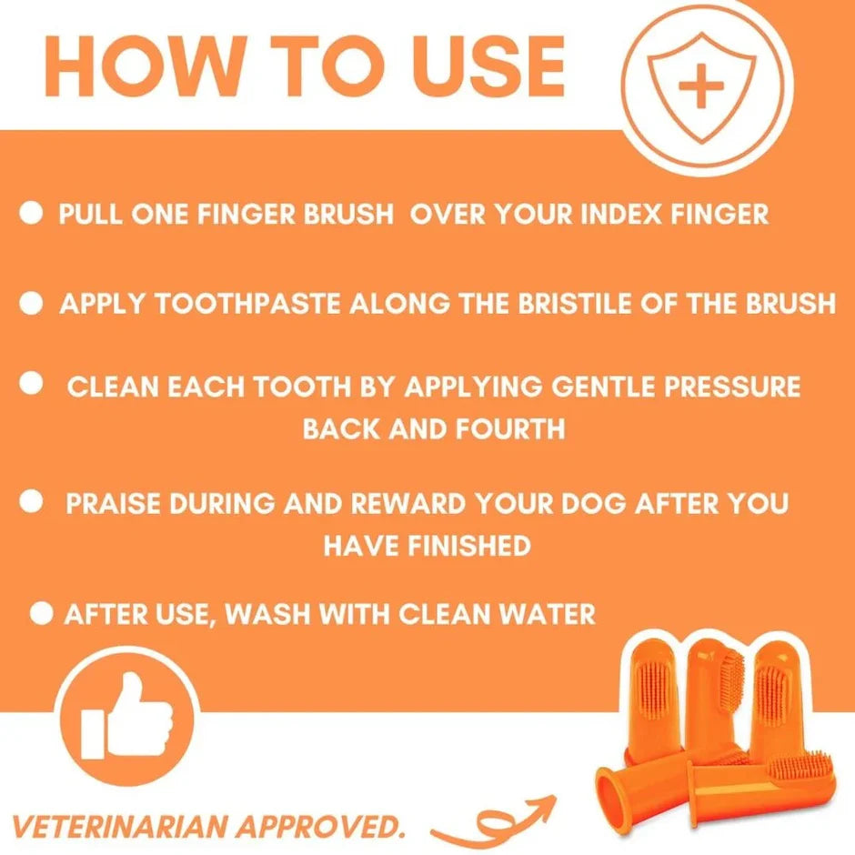 OurDogsLife Dental Kit