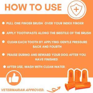 OurDogsLife Dental Kit