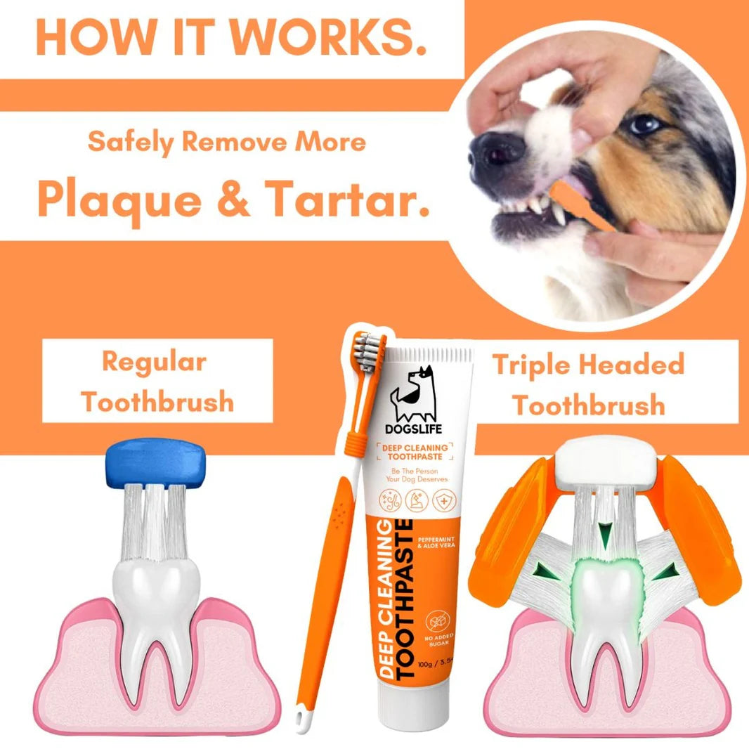 OurDogsLife Dental Kit