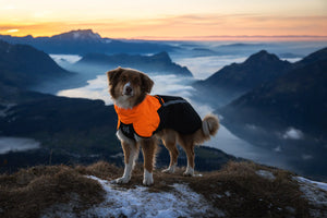 Non-stop Dogwear Fjord raincoat 2.0